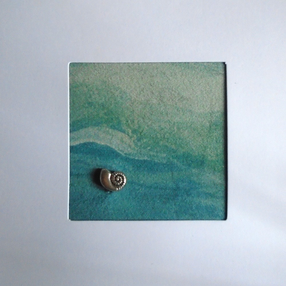 Ammonite shell card