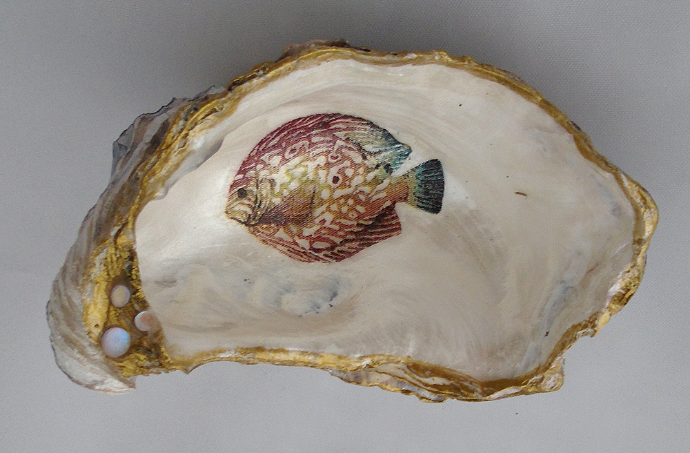 Fish in oyster shell